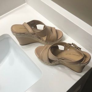 Antonio Melani wedge